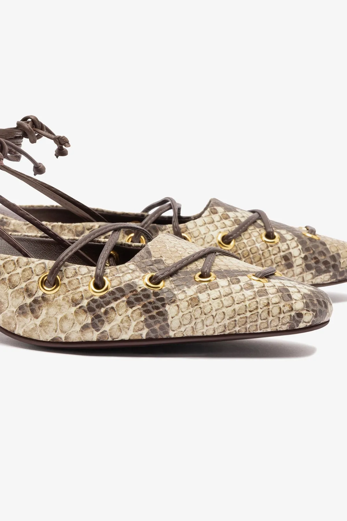 Amal Lace Up Pump In Neutral Printed Snake,Women Heel
