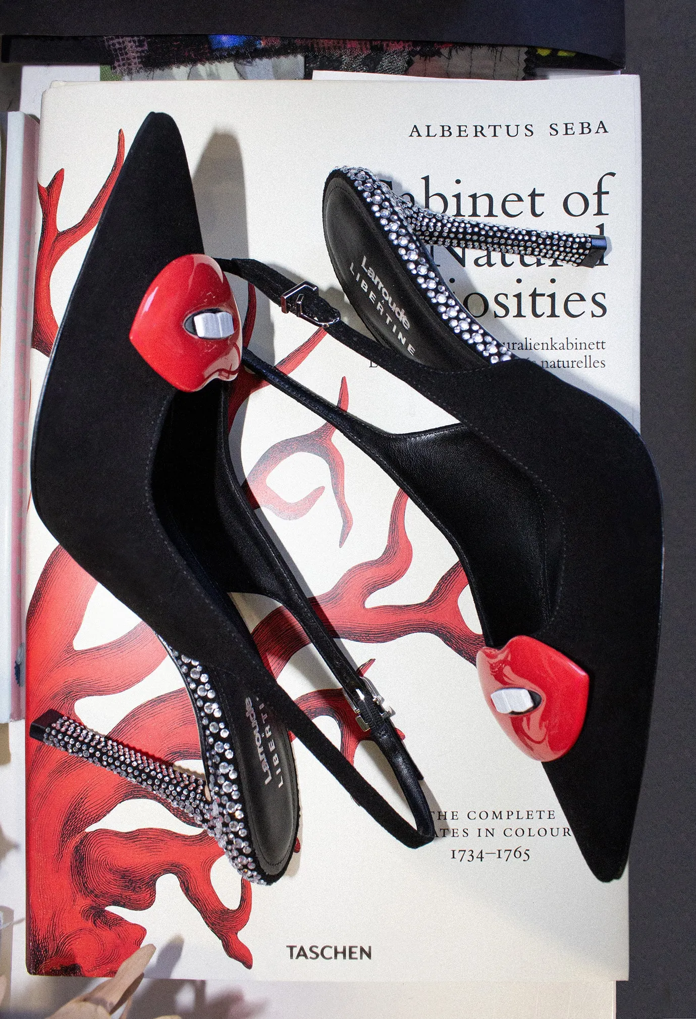 Larroud?? x Libertine Lips Pump Hi In Black Suede and Crystals,Women Heel